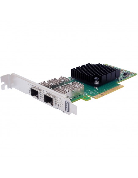 ATTO FastFrame FFRM-N422-DA0 Dual Channel