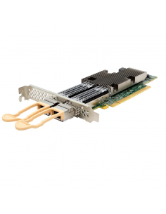 ATTO FastFrame FFRM-N412-000 Dual Channel