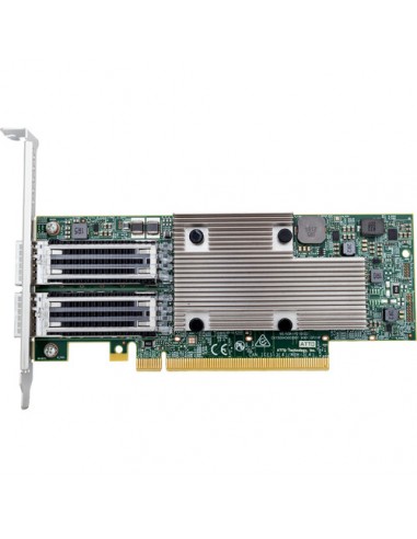 ATTO FastFrame FFRM-N412-DA0 Dual Channel