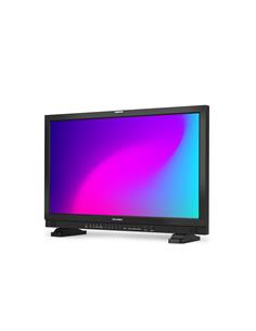 FHD Monitor with HDR 2
