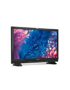 FHD Monitor with HDR 2
