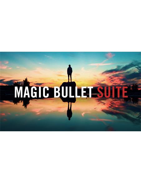 Red Giant Magic Bullet Suite v14.0.4