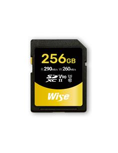 SDXC UHS-II V90 256GB